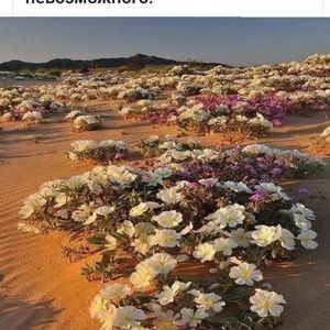 Meet your Posher, Eugene